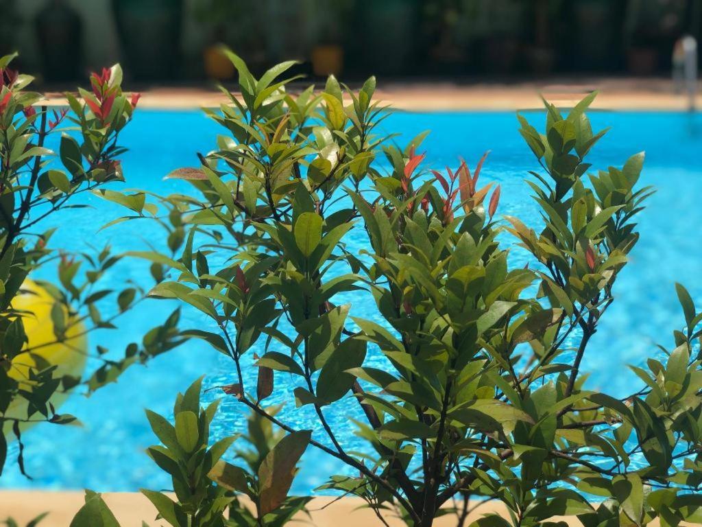 Hotel Mile Yangon